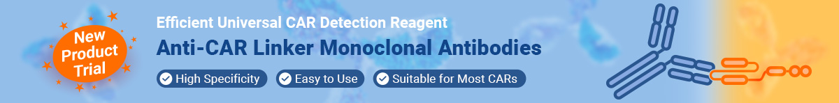 Anti-CAR Linker Antibody