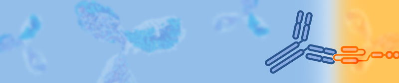 Free Trial! Anti-Payload Antibodies