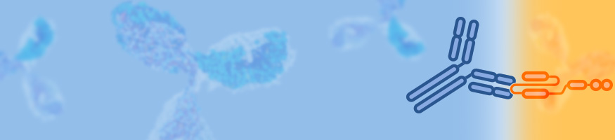 Anti-CAR Linker Antibody