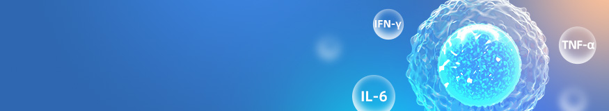 Anti-cytokine Antibody