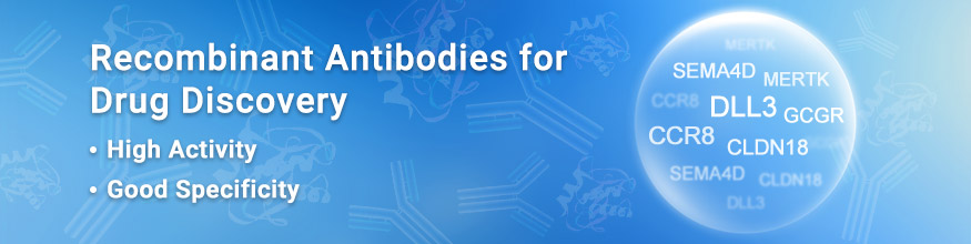 Recombinant Antibodies for Drug Discovery