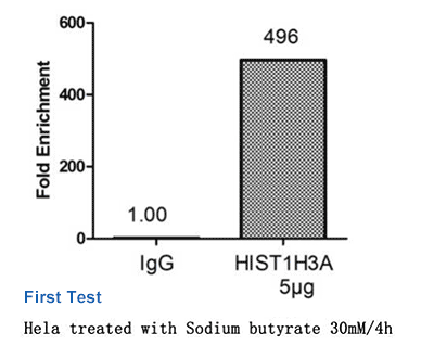 Acetyl-HIST1H3A Antibody Applied in ChIP 01
