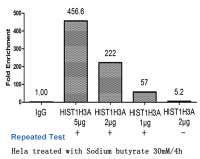 Acetyl-HIST1H3A Antibody Applied in ChIP 02