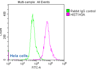 Acetyl-HIST1H3A Antibody Applied in FC 01