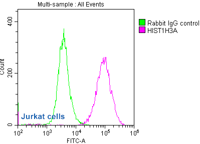 Acetyl-HIST1H3A Antibody Applied in FC 02