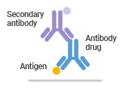 Antigen Capture
