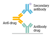 Antigen Capture