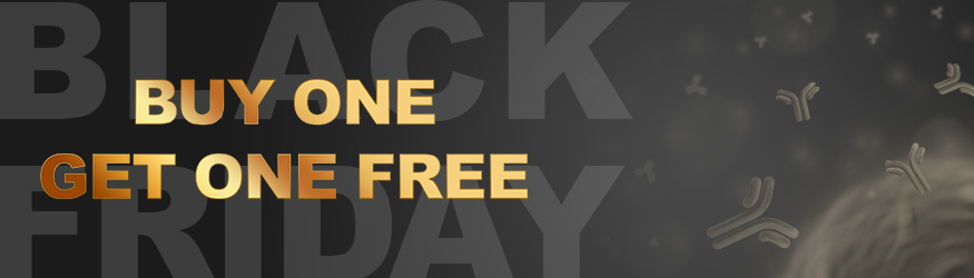 Black Friday Frenzy: Buy Antibodies, Get Another FREE!