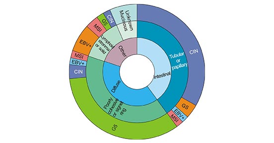 Graphical depiction of overlapping classifications