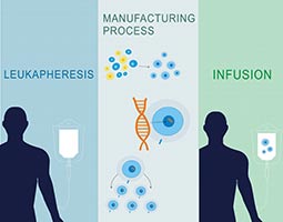 CAR-T cell Therapy