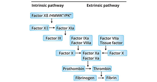 Classical coagulation cascade