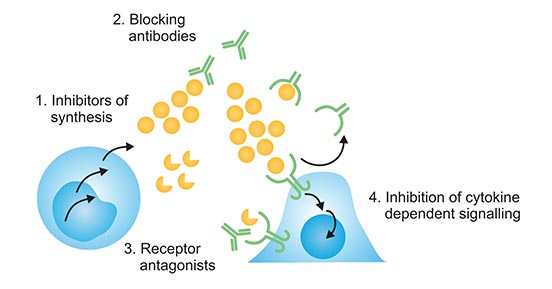 The features of cytokine inhibitors