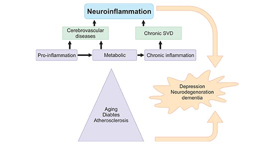 Sources of neuroinflammation