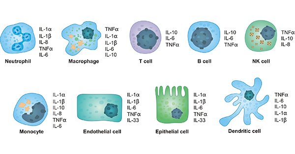 cytokines type