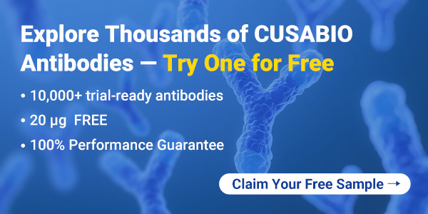 free trial size antibodies