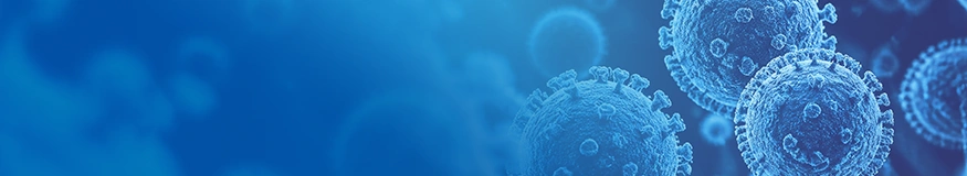 Hantavirus