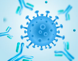 COVID-19 Antibody Reagents