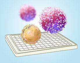 Cytokine ELISA kits