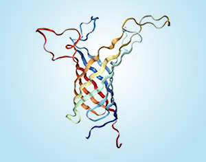 Transmembrane Proteins