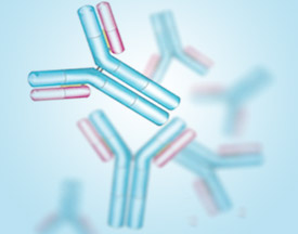 Tag/Control Antibodies