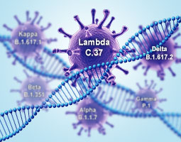 SARS-CoV-2 Variants