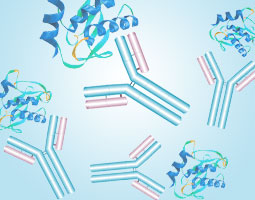 Abs for Drug Discovery