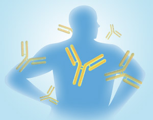 ELISA Kits for Autoantibody Research