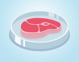 Cell Culture Meat Growth Factors