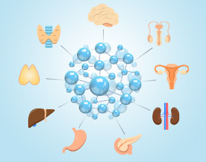 ELISA Kits for Hormones Research