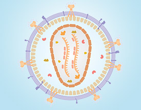 Infectious Diseases