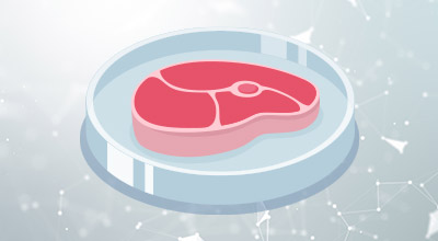 Cell Culture Meat Growth Factors