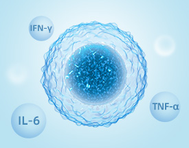 Anti-cytokine Antibody