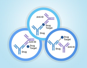 Anti-idiotypic antibodies