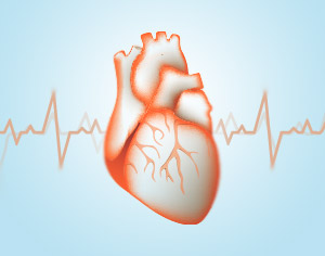 ELISA Kits for Cardiovascular Disease Research 