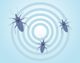 Chagas disease