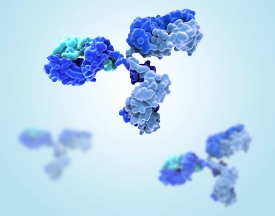 Rare Species Antibodies
