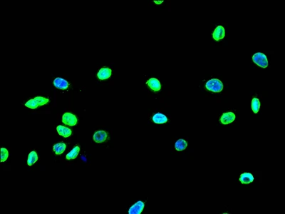 CSB-RA547773A0HU IF