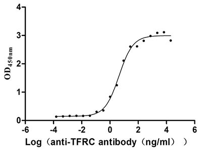 PARP1 Recombinant Monoclonal Antibody