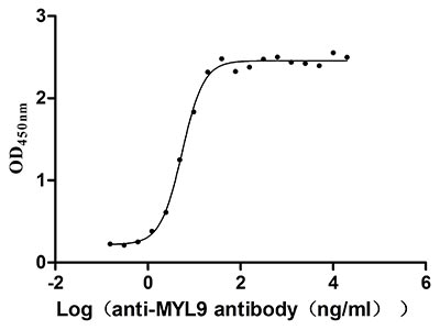 MYL9 Recombinant Monoclonal Antibody