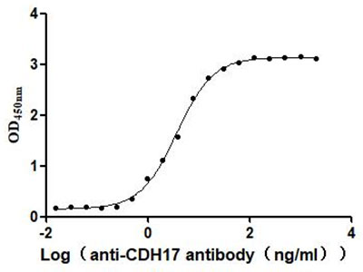 CDH17 Recombinant Monoclonal Antibody