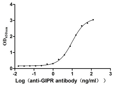 Gipr Recombinant Monoclonal Antibody
