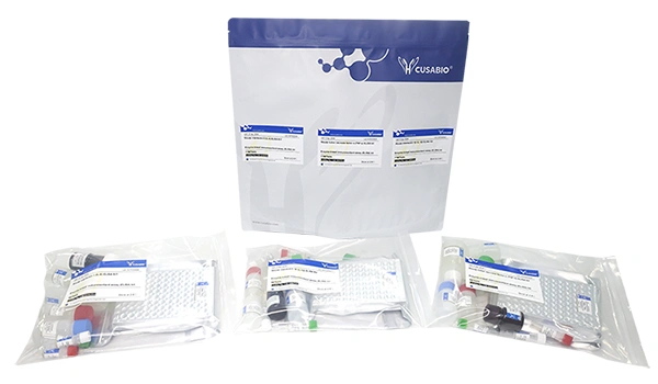 inflammatory factor elisa detection panel packaging.webp