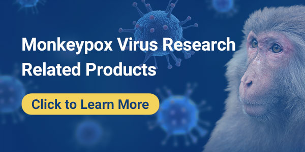 Monkeypox Virus Research Related Products