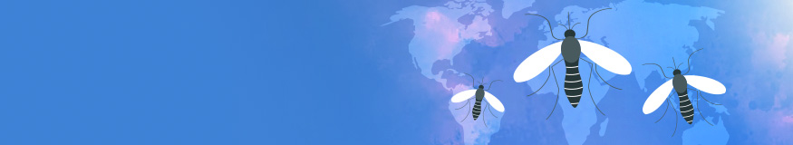 World Mosquito Day