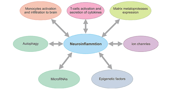 Emerging concepts affecting neuroinflammation