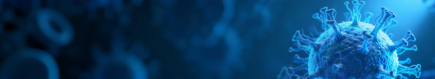 Nipah Virus Research Hub: From Molecular Mechanisms to Therapeutic Development