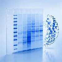 Protein analysis
