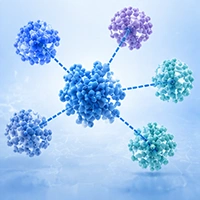 Protein interaction