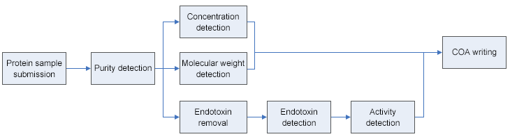 CUSABIO proteins quality control process