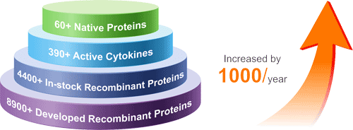 multiple protein options